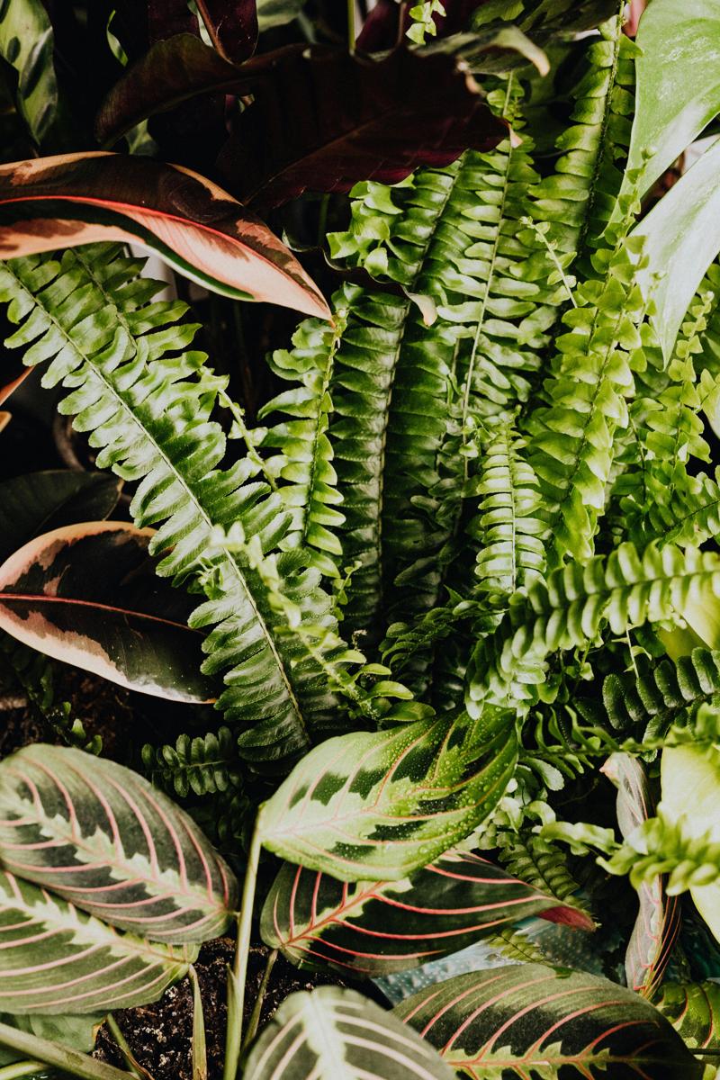 Green interior